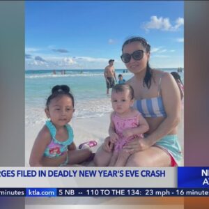 Murder charges filed in deadly New Year's Eve crash