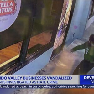 San Fernando Valley businesses vandalized in possible antisemitic hate crimes