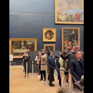 Protesters hurl soup at the Mona Lisa