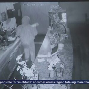 Video captures burglar with large rock smashing into Woodland Hills businesses