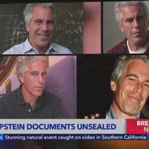 Some court records related to Jeffrey Epstein released