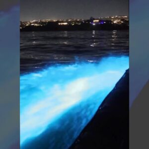 Stunning natural event caught on video in SoCal