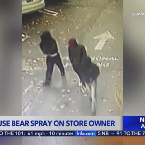 Suspects use bear spray on man during attempted robbery