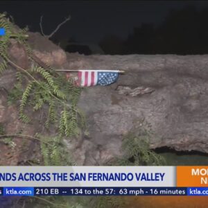 Trees uprooted, power lines downed amid gusty San Fernando Valley winds