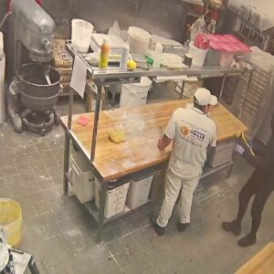 Video captures masked intruders ransacking L.A. bakery