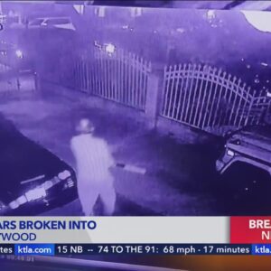 Video shows homeowner fighting back against car break-in suspects