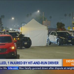 Woman killed, man critically injured in Los Angeles hit-and-run