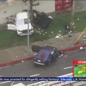 1 dead, 1 critical after crash hits trees, Panda Express in L.A.
