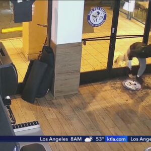 3 arrested after multiple businesses in West Los Angeles broken into within hours 
