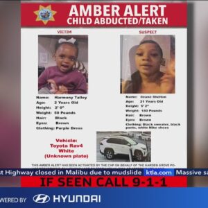 AMBER Alert issued for missing toddler