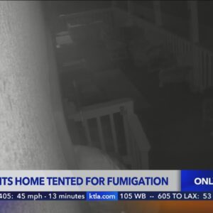Burglar hits home tented for fumigation