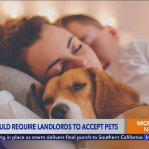 California bill would require landlords to accept pets