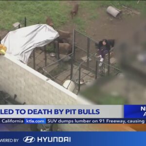 Compton pit bull breeder mauled to death by his own dogs