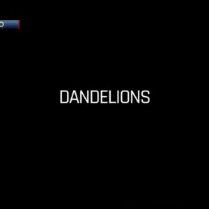“Dandelions,” a Vérité Cinematic Journey