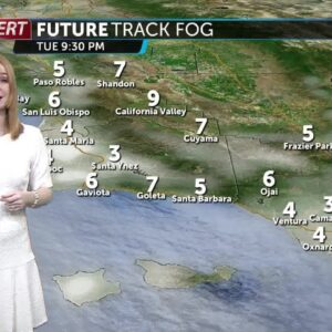 Dry conditions with more fog on Tuesday