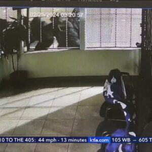 Montebello pharmacy owner devastated after another break-in resulted in $10,000 of stolen goods