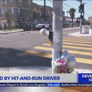 Hit-and-run driver wanted after killing 5-year-old boy