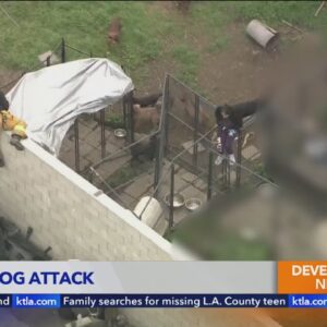 Man mauled to death by dogs in Compton