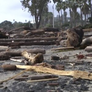More coastal debris is left behind from recent storms
