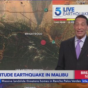 Preliminary 4.6 magnitude earthquake hits Malibu