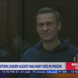 Putin critic, Russian opposition leader Alexei Navalny dies in prison