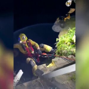 Firefighters rescue woman who fell from onto a cliff ledge in Isla Vista