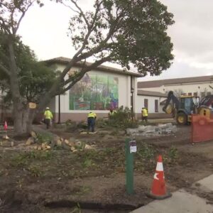 Santa Maria begins major landscaping renovations around City Hall