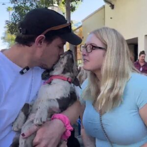 Smooch a Pooch for Valentine’s Day leads to adoptions