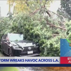 Storm wreaks havoc across L.A.
