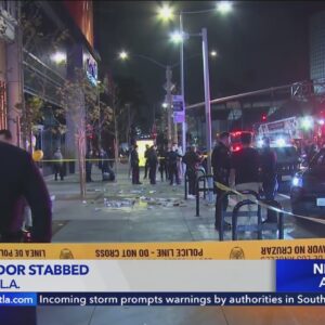 Street vendor stabbed in downtown Los Angeles