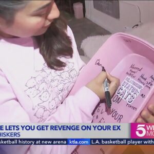 Single on Valentine's Day? Let a cat take revenge on your ex at this Beverly Grove cafe.