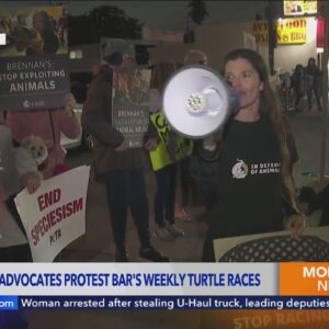 Animal advocacy group stages protest outside Marina del Rey sports bar known for turtle racing
