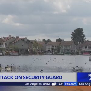 Brutal attack on security guard in upscale community