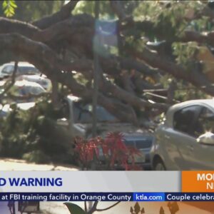 Damaging Santa Ana winds blast Southern California