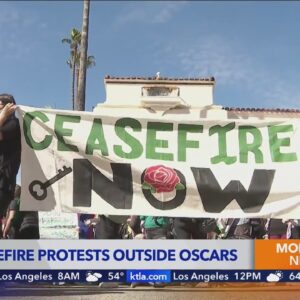 Demonstrators calling for ceasefire in Gaza disrupt Academy Awards