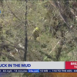 Firefighters try to free horse trapped in mud in Shadow Hills