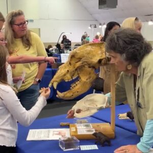 Gem, Mineral, Fossil and Jewelry show draws a crowd