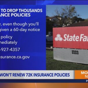 Here's what State Farm customers should do if their policy isn't renewed