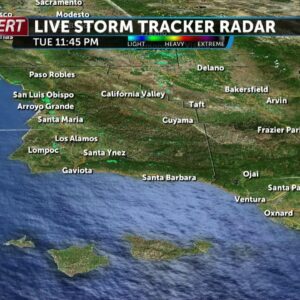 LIVE: Weather Tracker