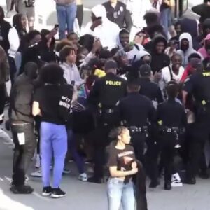 Long Beach Police break up fight amongst youth at the Pike Outlets