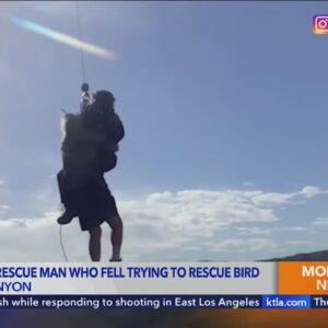 Man falls off cliff trying to rescue bird
