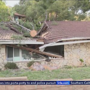 Santa Ana Winds knock down trees, cause destruction across Southern California