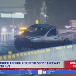 Pedestrian struck, killed on 110 Freeway 