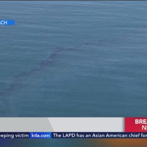 Report of oil spill off Huntington Beach being investigated