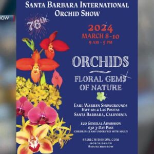 Santa Barbara International Orchid Festival Joins Morning News
