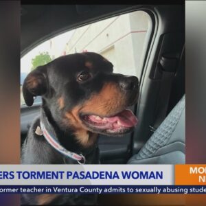 SoCal woman terrorized, harassed by alleged dognappers