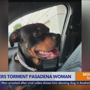 Southern California woman terrorized, harassed by alleged dognappers