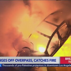 Tesla plunges off overpass, catches fire after landing on 134 Freeway