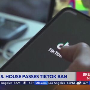 U.S. House passes TikTok ban