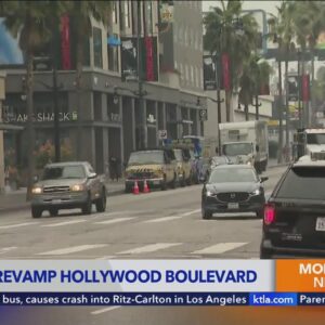 Walking the Hollywood Walk of Fame may soon get easier